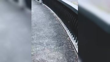 户外调教骚母狗